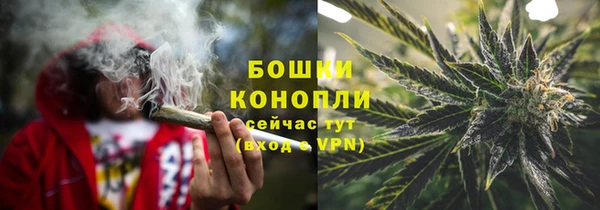 ГАЛЛЮЦИНОГЕННЫЕ ГРИБЫ Чита