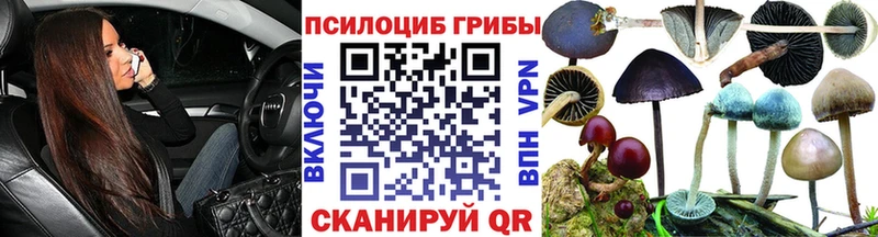 Псилоцибиновые грибы Magic Shrooms  Аргун 