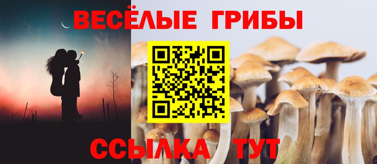 Галлюциногенные грибы MAGIC MUSHROOMS Аргун