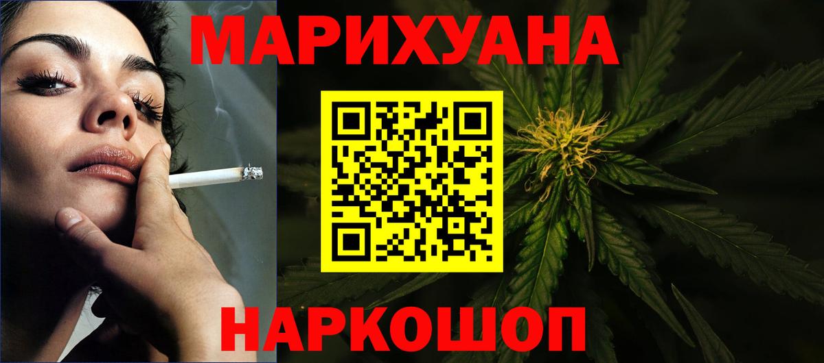 Бошки Шишки план Аргун