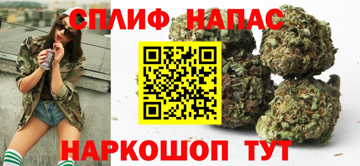 Аргун  Канабис планчик  Бошки марихуана White Widow  Вход с VPN  Каннабис индика 